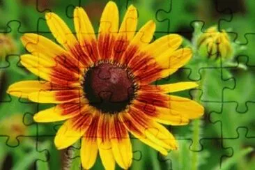 123 jigsaw puzzle