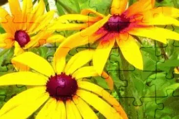 126 jigsaw puzzle