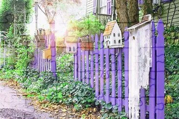 Purple Picket Fence jigsaw puzzle