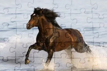 Water Horse jigsaw puzzle
