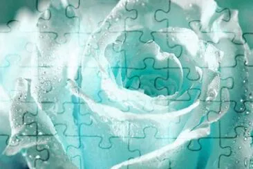 Rosa Azul Claro jigsaw puzzle