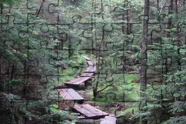 פאזל של spring in Appalachia