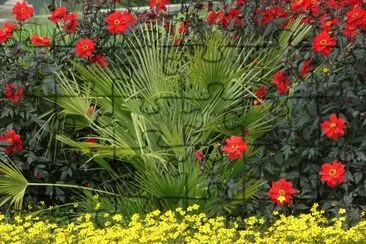 JardÃ­
