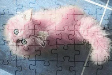 ... jigsaw puzzle