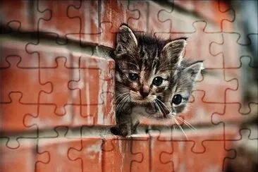 ... jigsaw puzzle