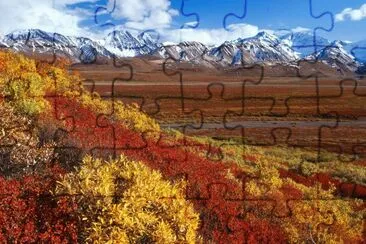 Denali jigsaw puzzle