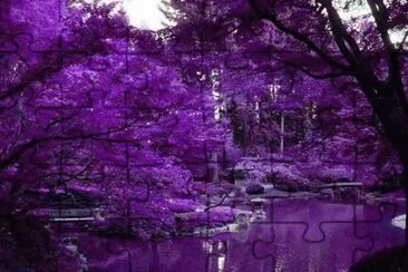 Imagenes jigsaw puzzle