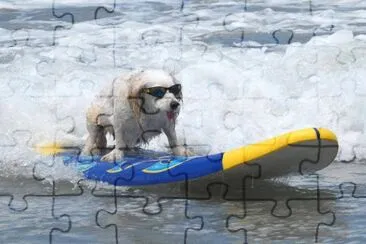 Imagenes jigsaw puzzle