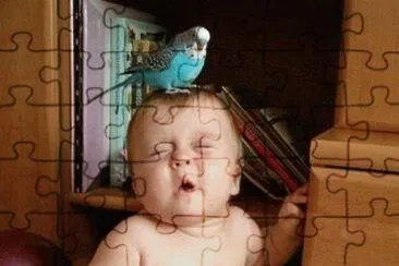 Imagenes jigsaw puzzle