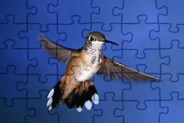 Imagenes jigsaw puzzle