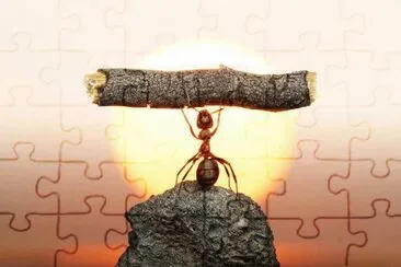 Imagenes jigsaw puzzle