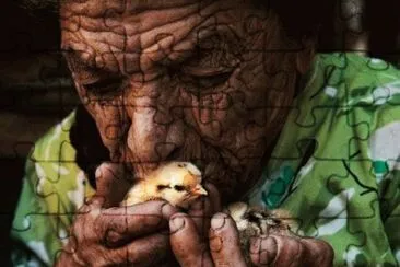 Imagenes