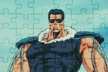 Arnold jigsaw puzzle