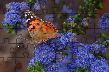 f jigsaw puzzle