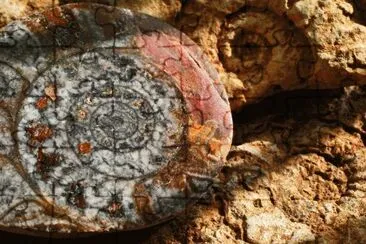 fossil fractal jigsaw puzzle