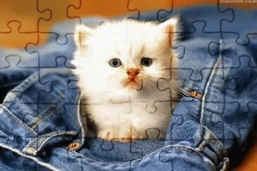 g jigsaw puzzle