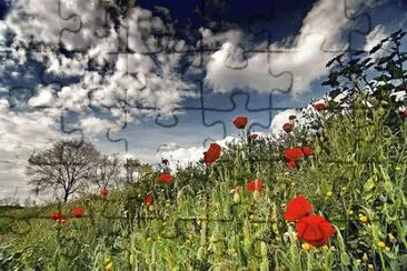 Natura jigsaw puzzle