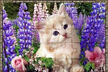 Kitten in the Purple Flowers