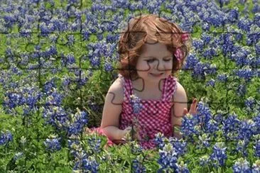 Little Girl in the Purple Flowers