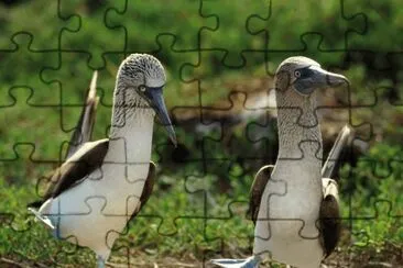 . jigsaw puzzle