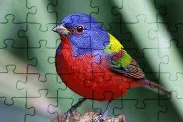 . jigsaw puzzle