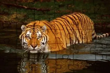 . jigsaw puzzle