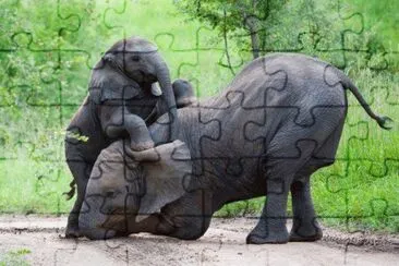 . jigsaw puzzle