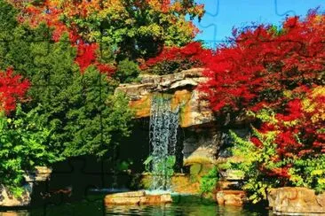 Imagenes