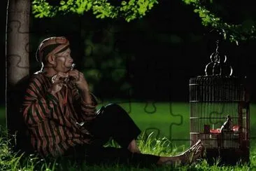Imagenes jigsaw puzzle