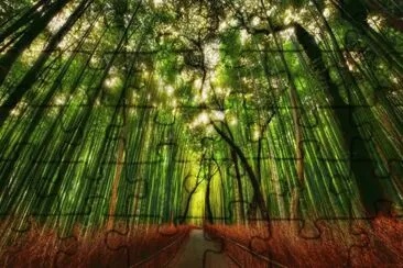 Bamboo forest, Kyoto, Japan jigsaw puzzle