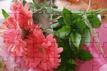 Imagenes jigsaw puzzle