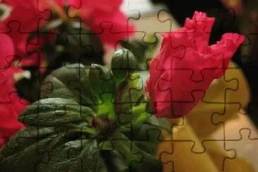 Imagenes jigsaw puzzle