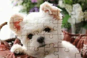 Imagenes jigsaw puzzle