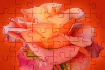 Imagenes jigsaw puzzle