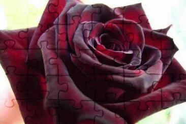 Imagenes jigsaw puzzle