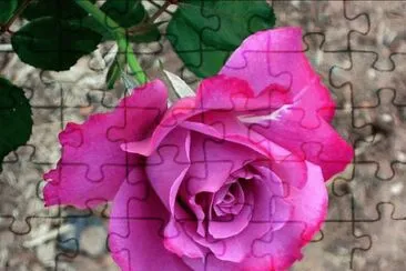 Imagenes jigsaw puzzle