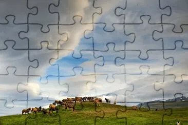horse farm Iceland jigsaw puzzle