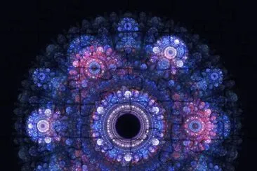 fractal erucolindo