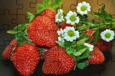 image jigsaw puzzle