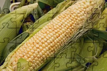 king corn jigsaw puzzle