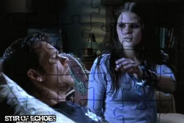 stir of echoes