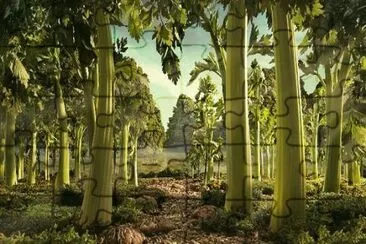 celery forest