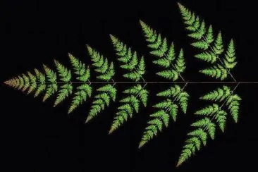 fern fractal
