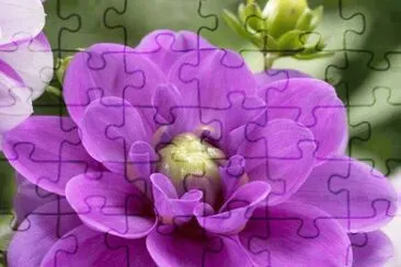 flores jigsaw puzzle