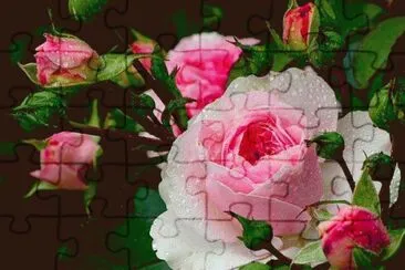 flores jigsaw puzzle