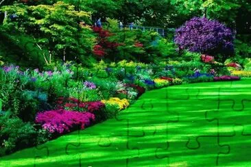 Imagenes jigsaw puzzle