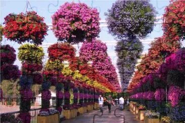 Imagenes jigsaw puzzle
