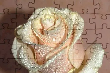 Imagenes jigsaw puzzle