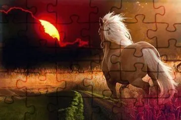 Imagenes