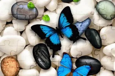 Imagenes jigsaw puzzle